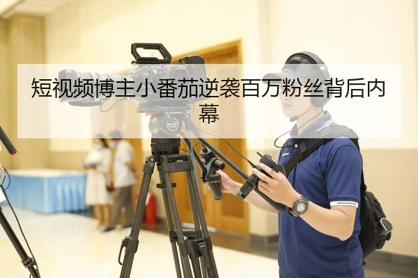 短视频博主小番茄逆袭百万粉丝背后内幕