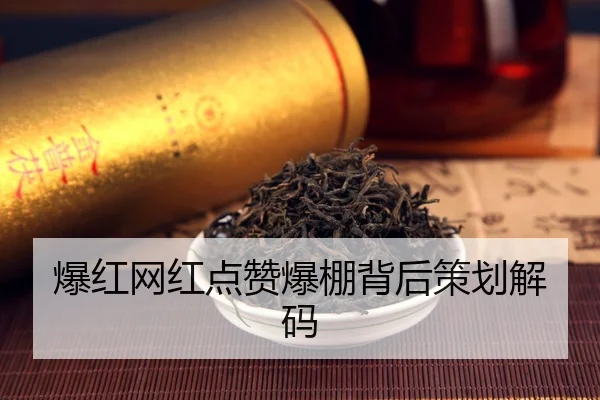 爆红网红点赞爆棚背后策划解码